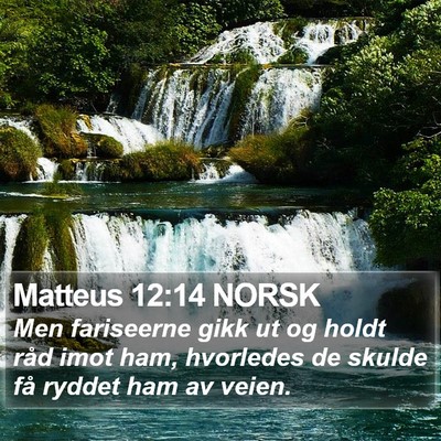 Matteus 12:14 NORSK Bible Verse Image