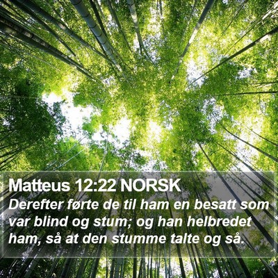 Matteus 12:22 NORSK Bible Verse Image