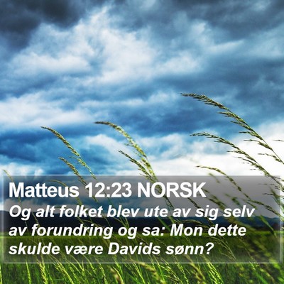 Matteus 12:23 NORSK Bible Verse Image