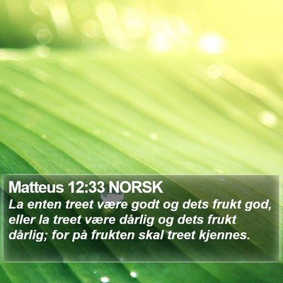 Matteus 12:33 NORSK Bible Verse Image