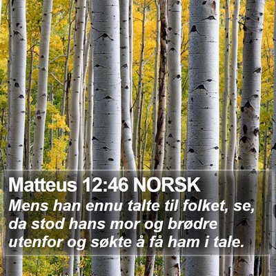 Matteus 12:46 NORSK Bible Verse Image