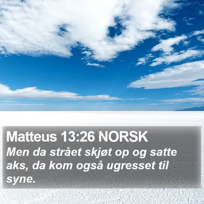 Matteus 13:26 NORSK Bible Verse Image