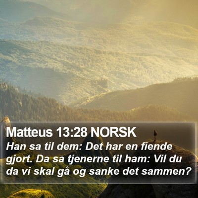 Matteus 13:28 NORSK Bible Verse Image