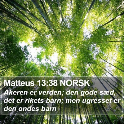 Matteus 13:38 NORSK Bible Verse Image