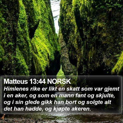 Matteus 13:44 NORSK Bible Verse Image
