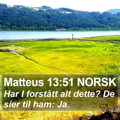 Matteus 13:51 NORSK Bible Verse Image