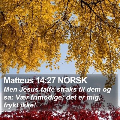Matteus 14:27 NORSK Bible Verse Image