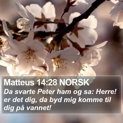 Matteus 14:28 NORSK Bible Verse Image