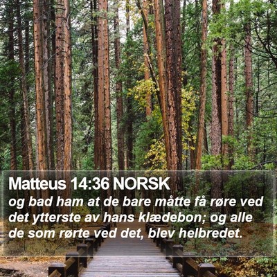 Matteus 14:36 NORSK Bible Verse Image