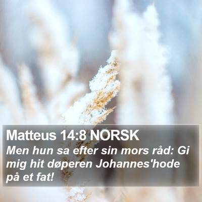 Matteus 14:8 NORSK Bible Verse Image
