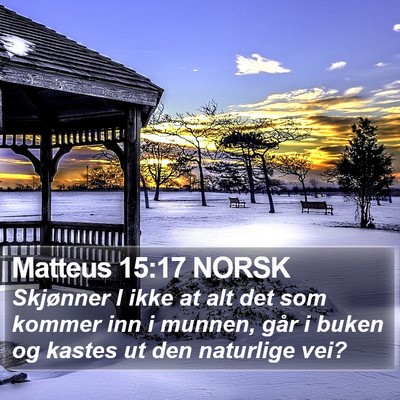Matteus 15:17 NORSK Bible Verse Image