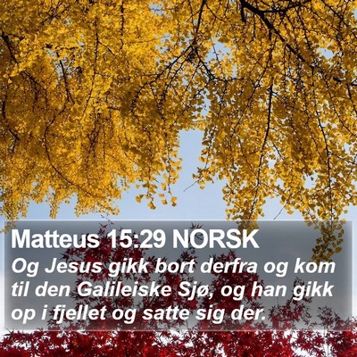 Matteus 15:29 NORSK Bible Verse Image