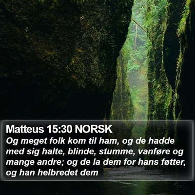 Matteus 15:30 NORSK Bible Verse Image