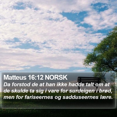 Matteus 16:12 NORSK Bible Verse Image
