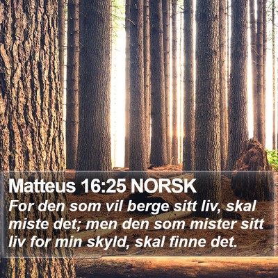 Matteus 16:25 NORSK Bible Verse Image