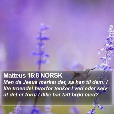 Matteus 16:8 NORSK Bible Verse Image