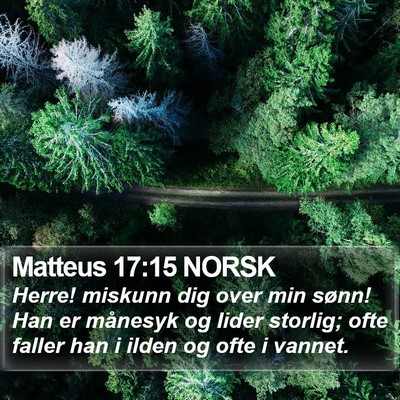 Matteus 17:15 NORSK Bible Verse Image