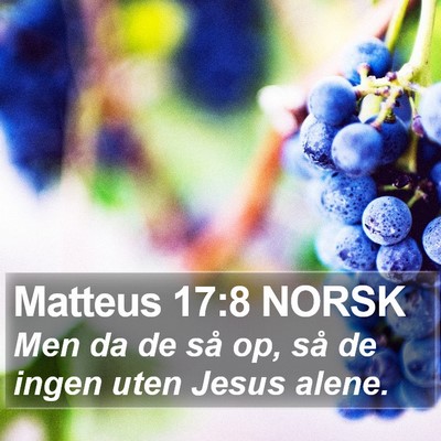 Matteus 17:8 NORSK Bible Verse Image