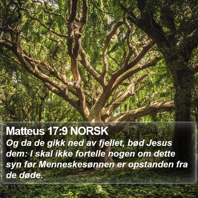 Matteus 17:9 NORSK Bible Verse Image