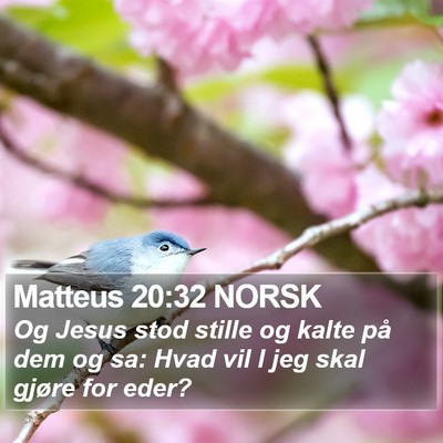 Matteus 20:32 NORSK Bible Verse Image