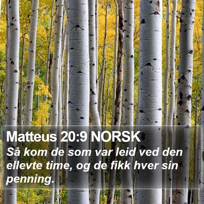 Matteus 20:9 NORSK Bible Verse Image
