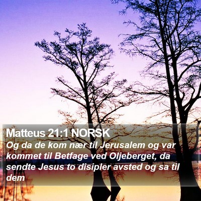 Matteus 21:1 NORSK Bible Verse Image