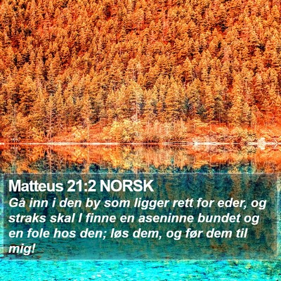 Matteus 21:2 NORSK Bible Verse Image