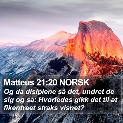 Matteus 21:20 NORSK Bible Verse Image