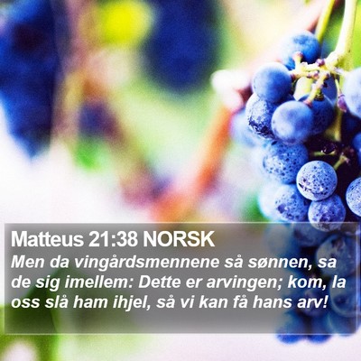 Matteus 21:38 NORSK Bible Verse Image