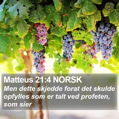 Matteus 21:4 NORSK Bible Verse Image