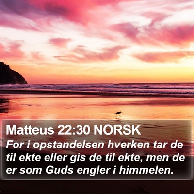 Matteus 22:30 NORSK Bible Verse Image