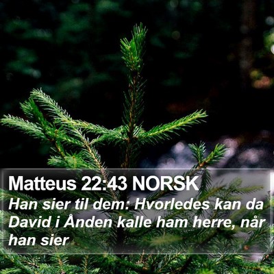 Matteus 22:43 NORSK Bible Verse Image
