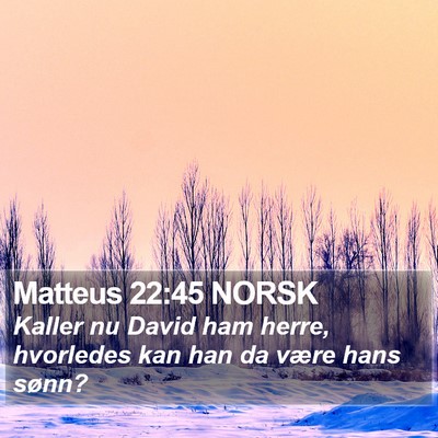 Matteus 22:45 NORSK Bible Verse Image