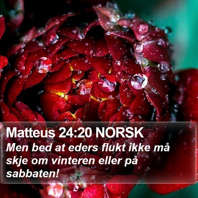 Matteus 24:20 NORSK Bible Verse Image