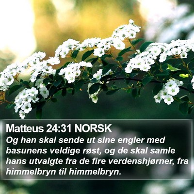 Matteus 24:31 NORSK Bible Verse Image