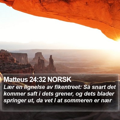Matteus 24:32 NORSK Bible Verse Image