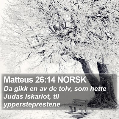 Matteus 26:14 NORSK Bible Verse Image