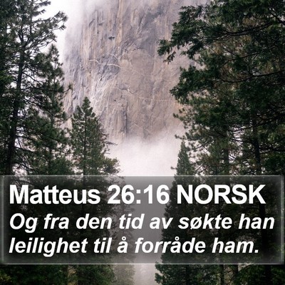 Matteus 26:16 NORSK Bible Verse Image