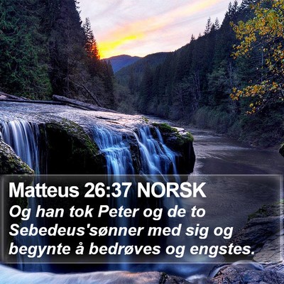 Matteus 26:37 NORSK Bible Verse Image