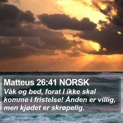 Matteus 26:41 NORSK Bible Verse Image