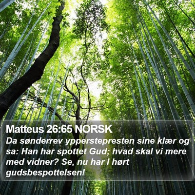 Matteus 26:65 NORSK Bible Verse Image