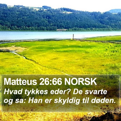 Matteus 26:66 NORSK Bible Verse Image