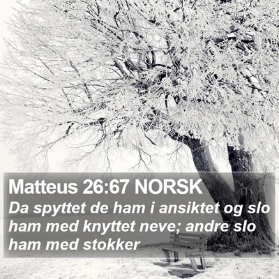 Matteus 26:67 NORSK Bible Verse Image