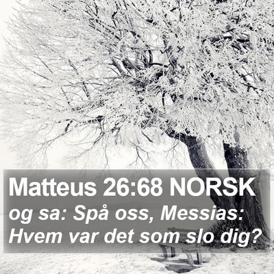 Matteus 26:68 NORSK Bible Verse Image