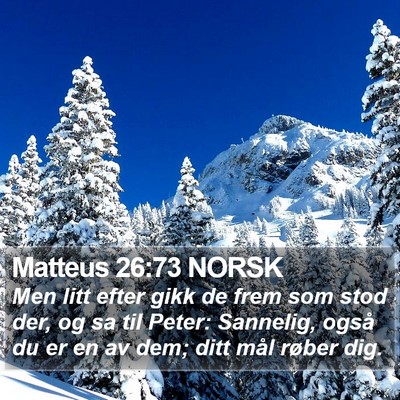 Matteus 26:73 NORSK Bible Verse Image