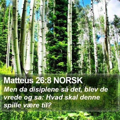 Matteus 26:8 NORSK Bible Verse Image