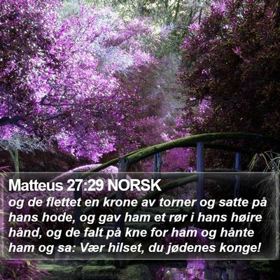 Matteus 27:29 NORSK Bible Verse Image