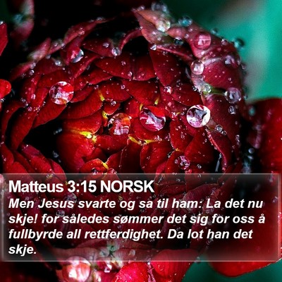 Matteus 3:15 NORSK Bible Verse Image