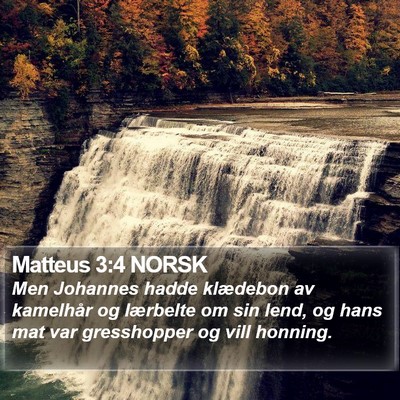 Matteus 3:4 NORSK Bible Verse Image