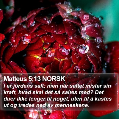 Matteus 5:13 NORSK Bible Verse Image